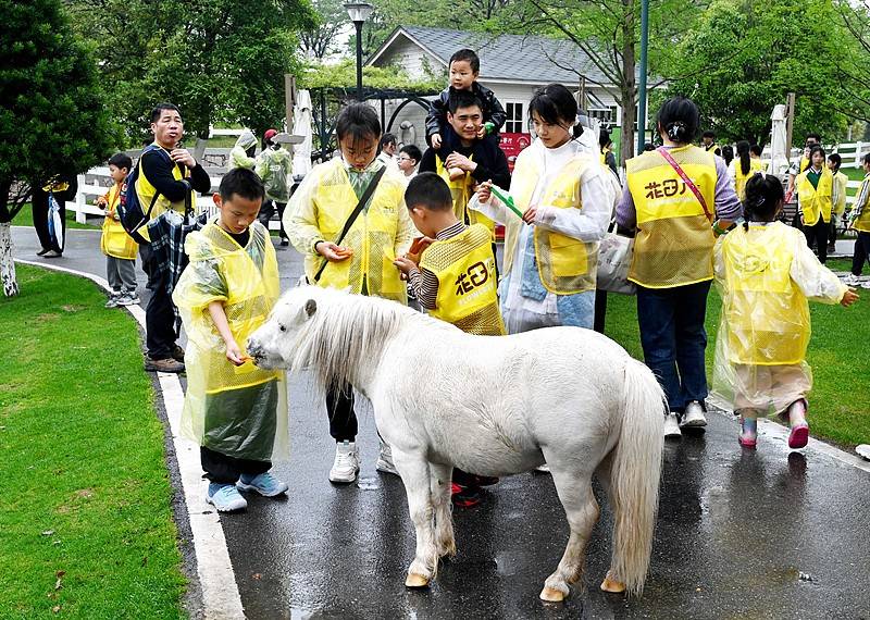 已放春假的小學生，來交作業了！
