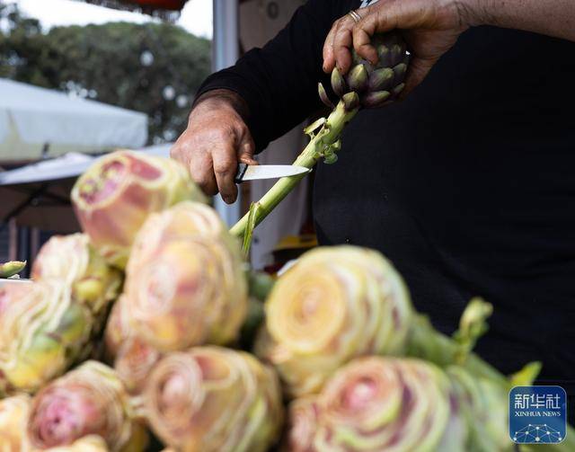 義大利海濱小鎮舉辦洋薊美食節
