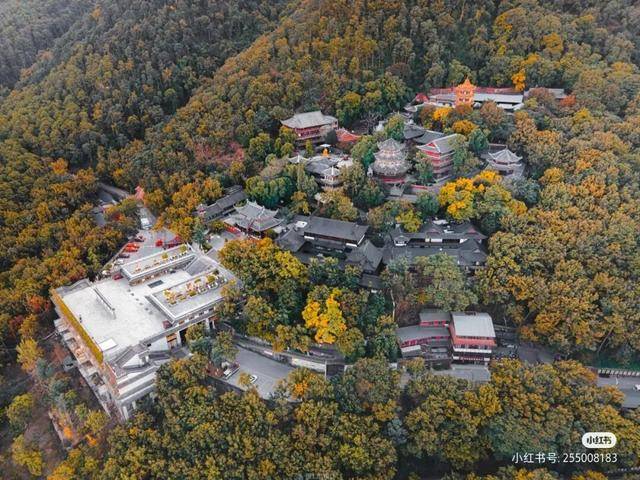 比大理浪漫！比昆明更近！高鐵直達陽光小城，2萬株藍花楹美瘋！觀海登山，美食吃到爽！