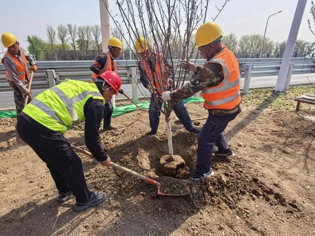 交通工程“加速度”！安立路快速化改造年底基本完工