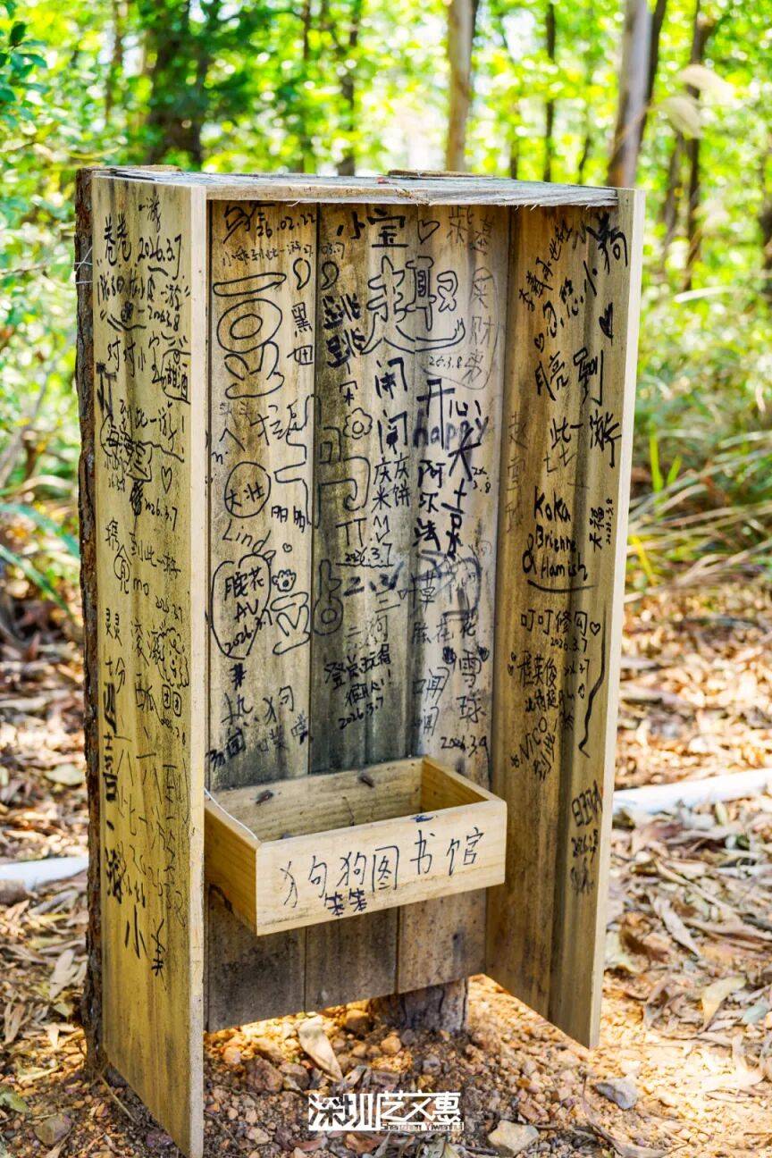 今日深圳｜聽說，羅芳郊野徑新開了個“狗狗圖書館”