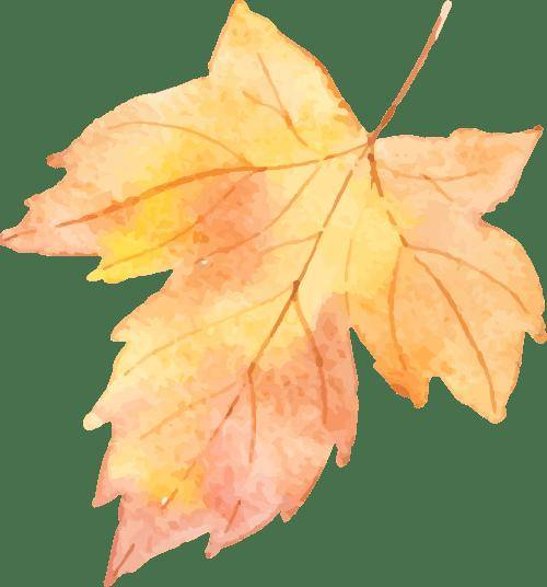 外語類考研熱門方向盤點：MTI翻譯碩士之外，這些方向競爭小前景好