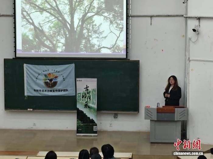 大學生為吉林古樹建檔 解鎖生態與文化雙重密碼