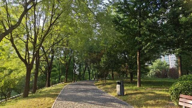 CBD創新力量｜北京CBD：從“水泥森林”到“花園客廳”