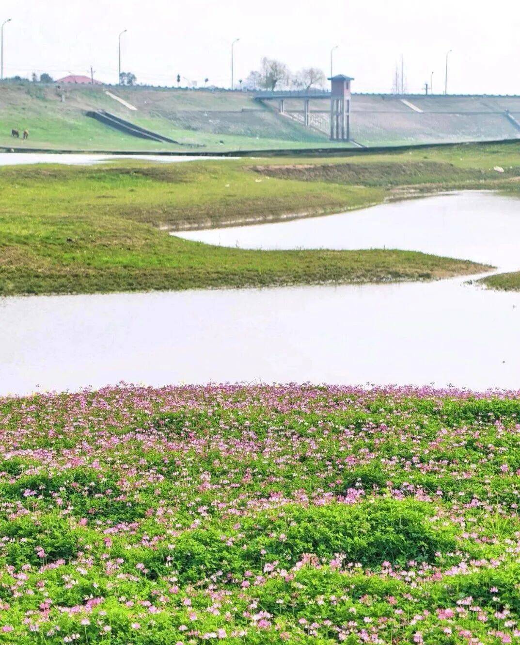 一鍵收藏！望城露營四大寶藏地，建議馬上出發
