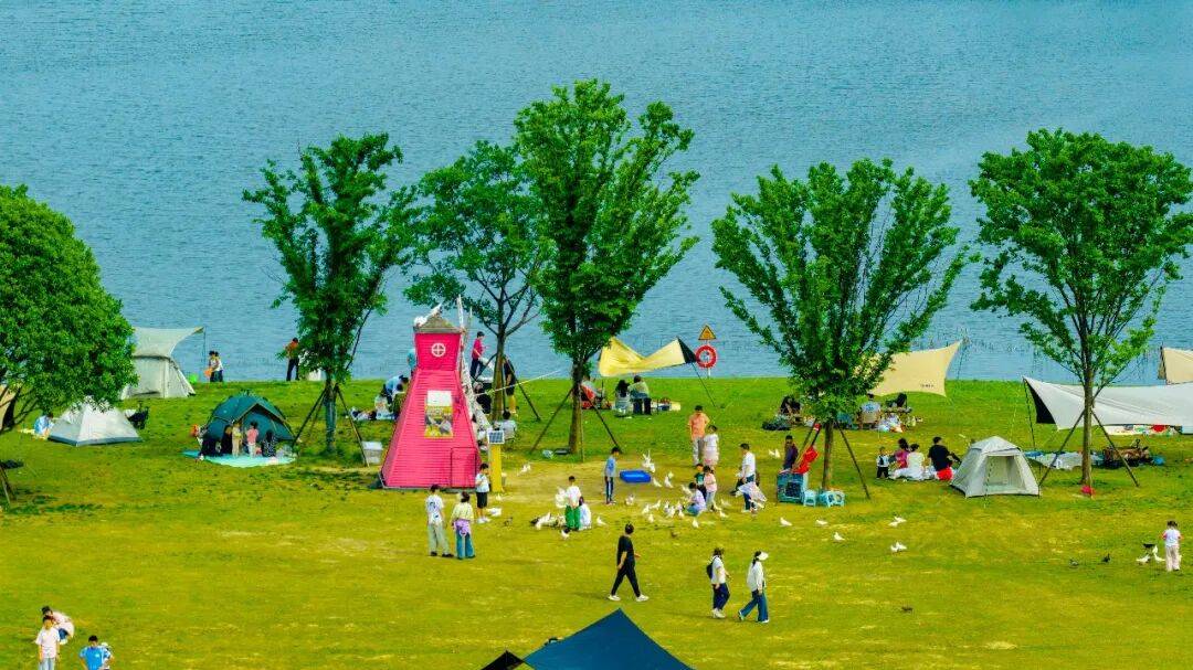一鍵收藏！望城露營四大寶藏地，建議馬上出發