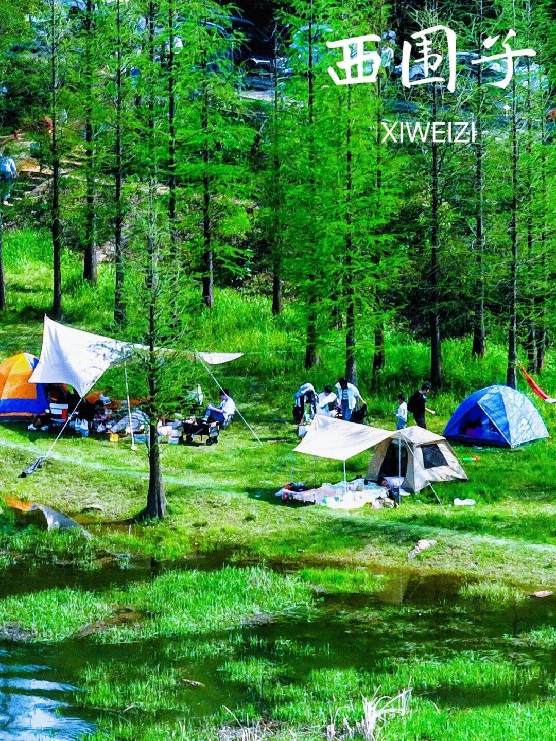 一鍵收藏！望城露營四大寶藏地，建議馬上出發