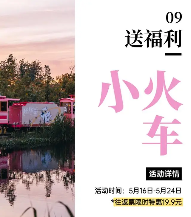 5·19中國旅遊日 | 本週末奔赴磨灘！暢享合肥美食、共赴文旅盛宴