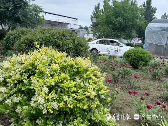 透明教學+智慧服務，莒縣騰達駕校讓學車更放心更高效