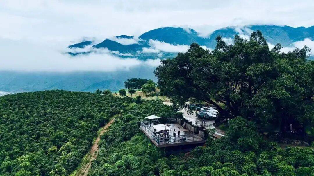 雲南省委書記：讓豐富獨特的旅遊資源變成促農增收的惠民產業