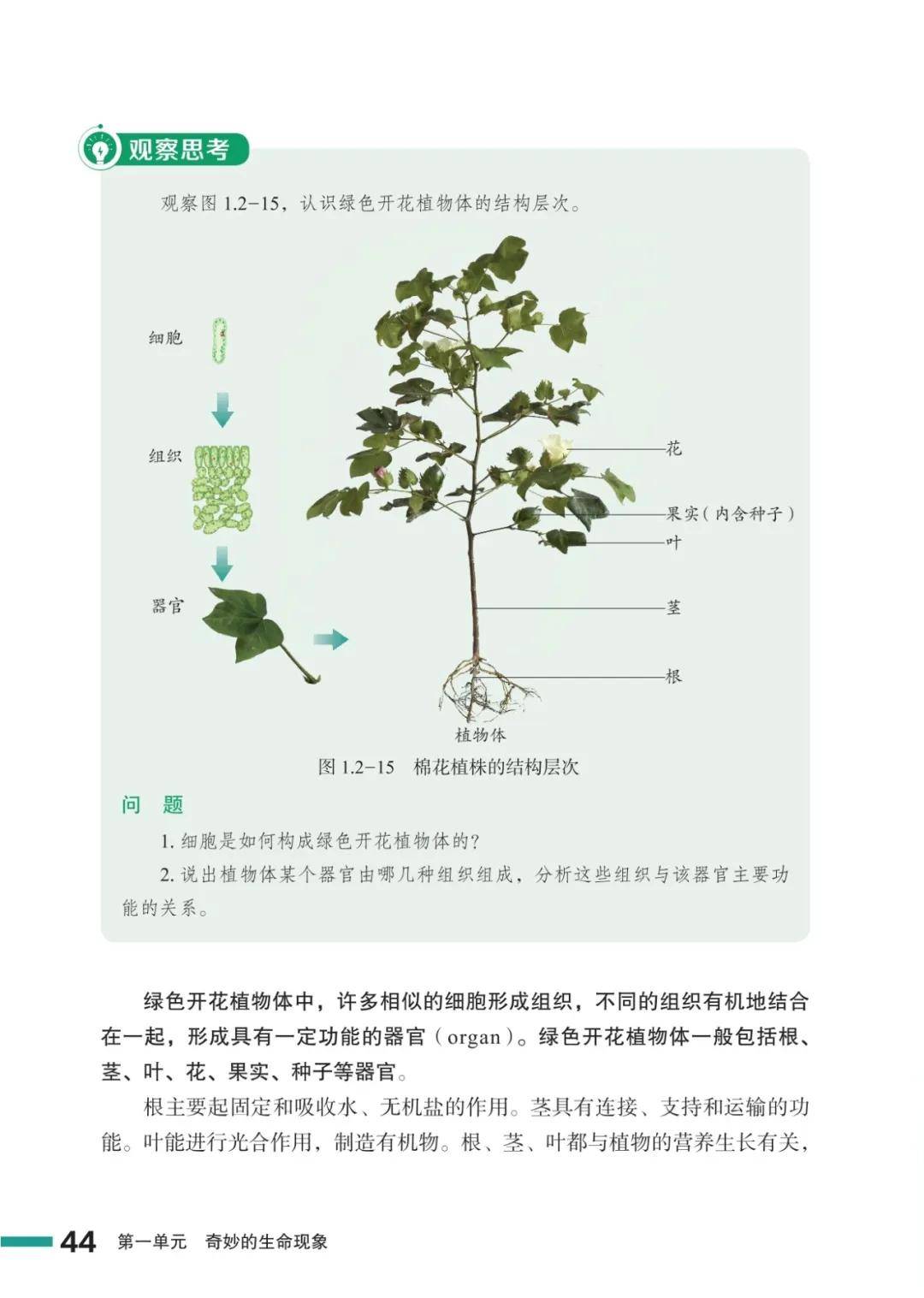 濟南版七年級生物上冊電子課本(2026新教材)
