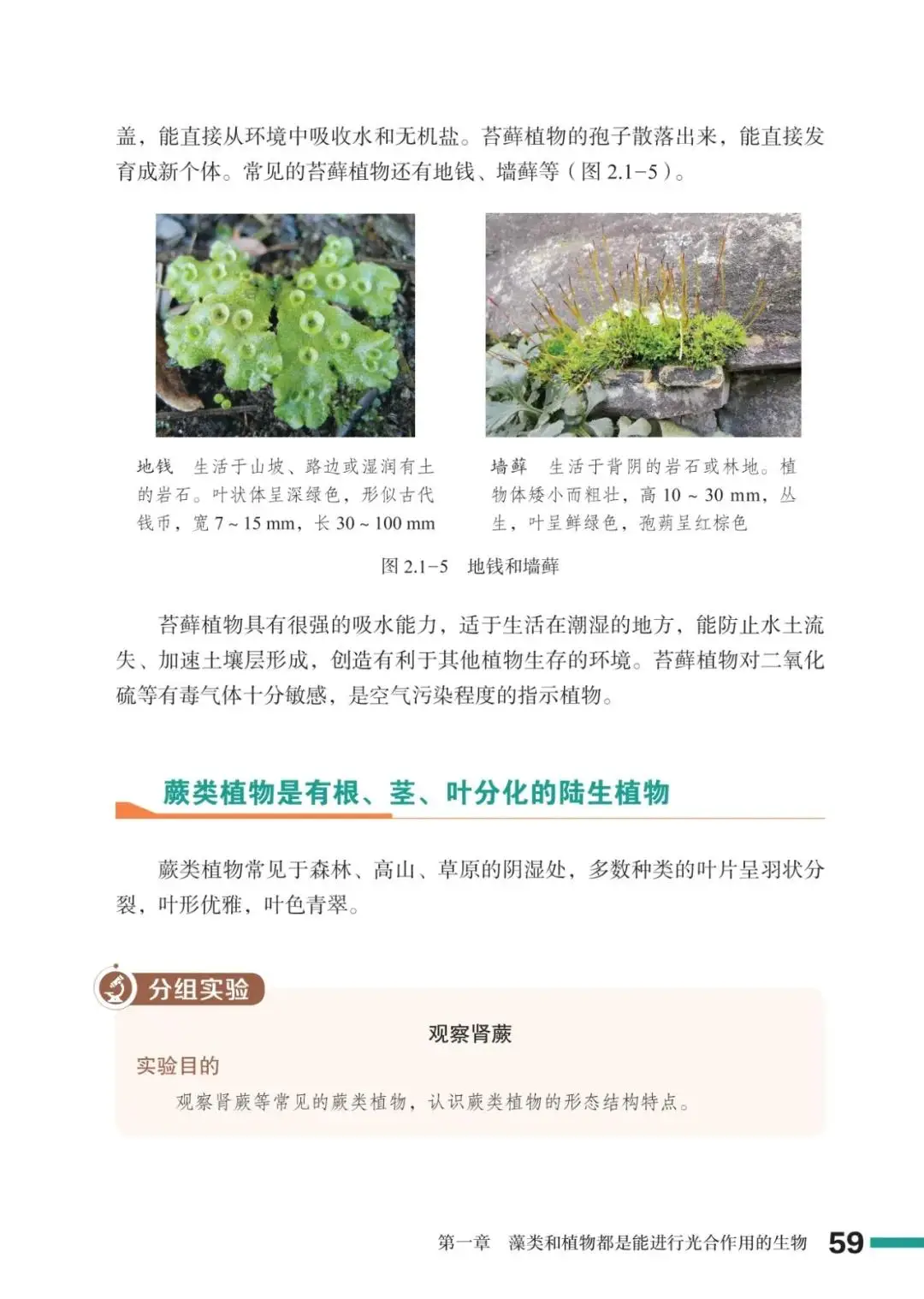 濟南版七年級生物上冊電子課本(2026新教材)