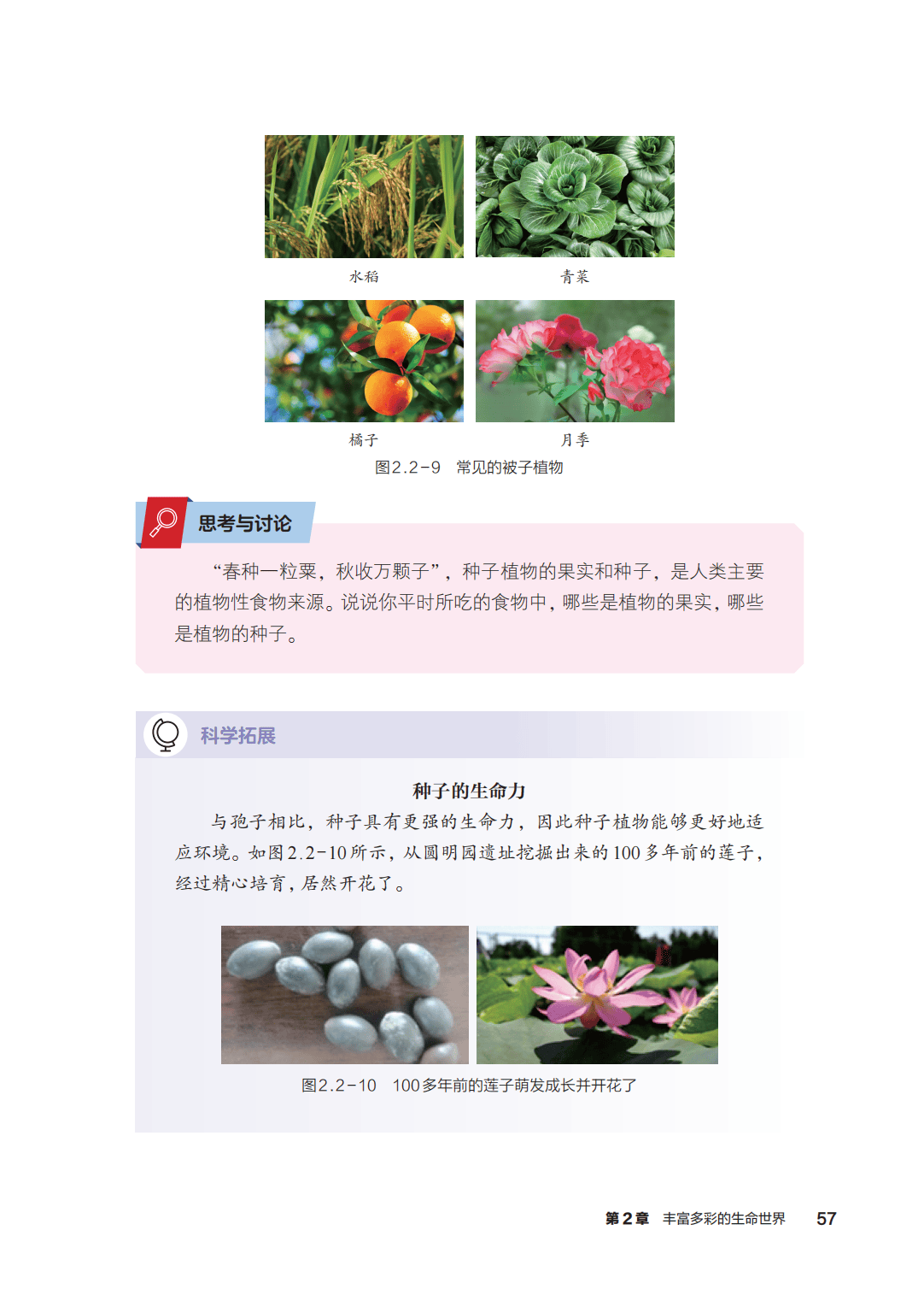 浙教版七年級科學上冊電子課本(2026年新教材)