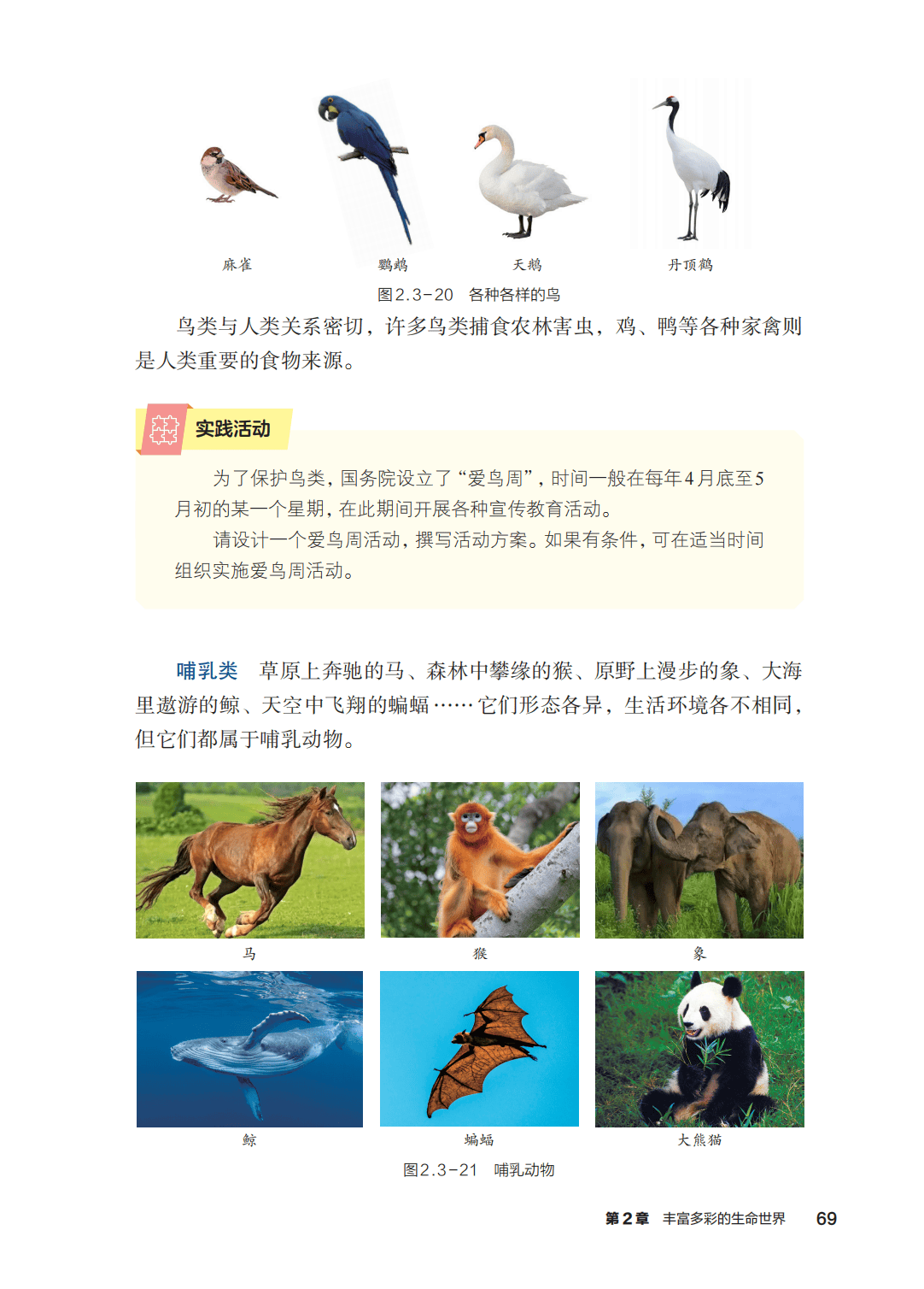 浙教版七年級科學上冊電子課本(2026年新教材)