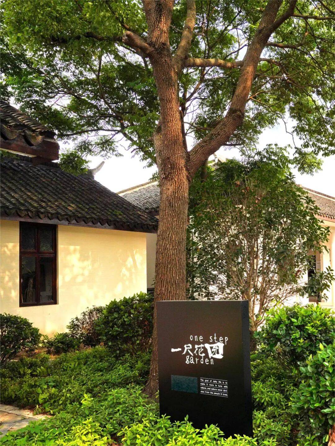 上海藏著“小亞馬孫”！皮划艇+高顏值美食+夏夜流螢，一次打卡仲夏限定浪漫→