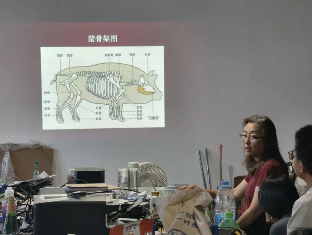 講座紀要丨尤悅：楚灣基地動物考古快速入門