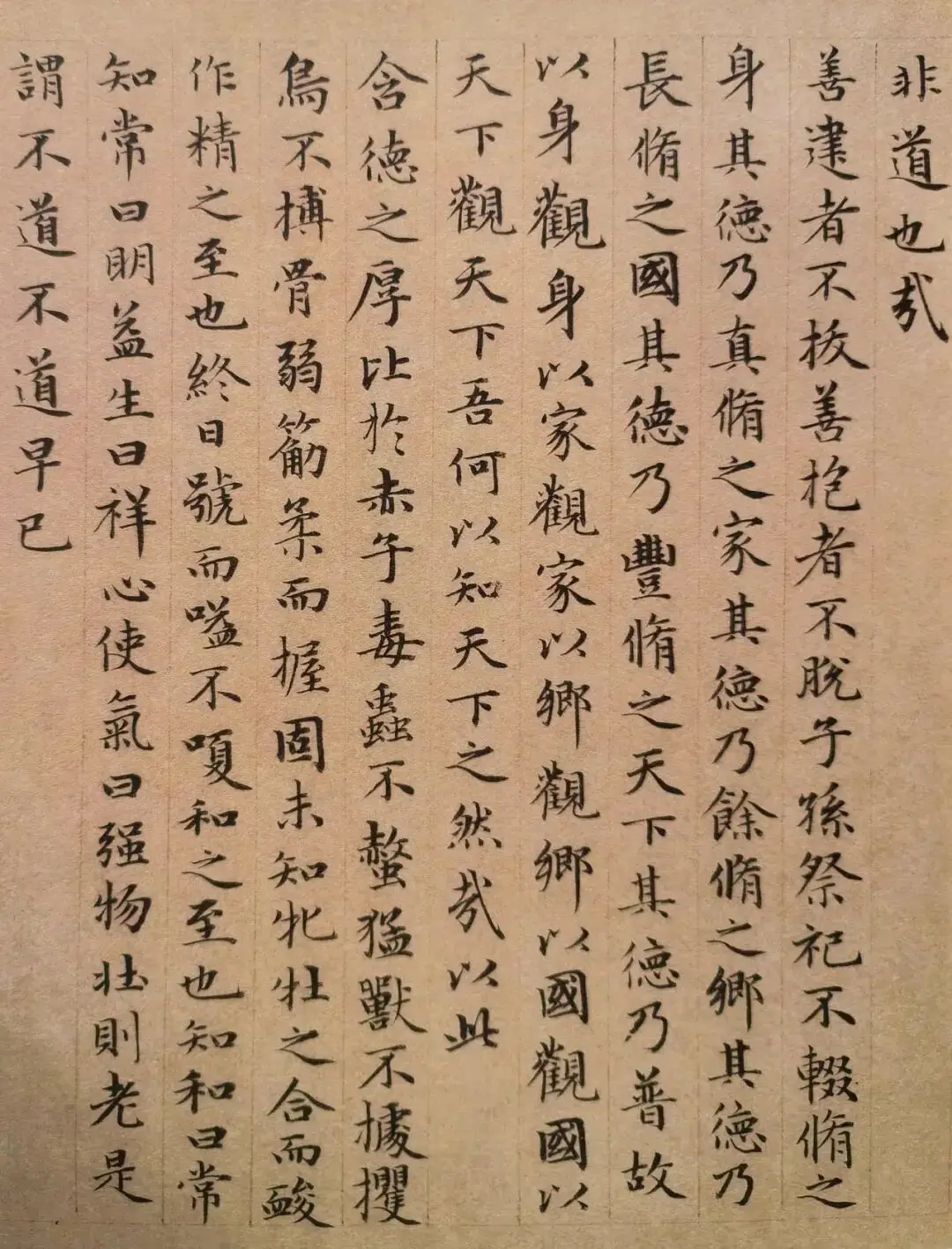 劉火：書法始於永嘉南渡——書法極簡史