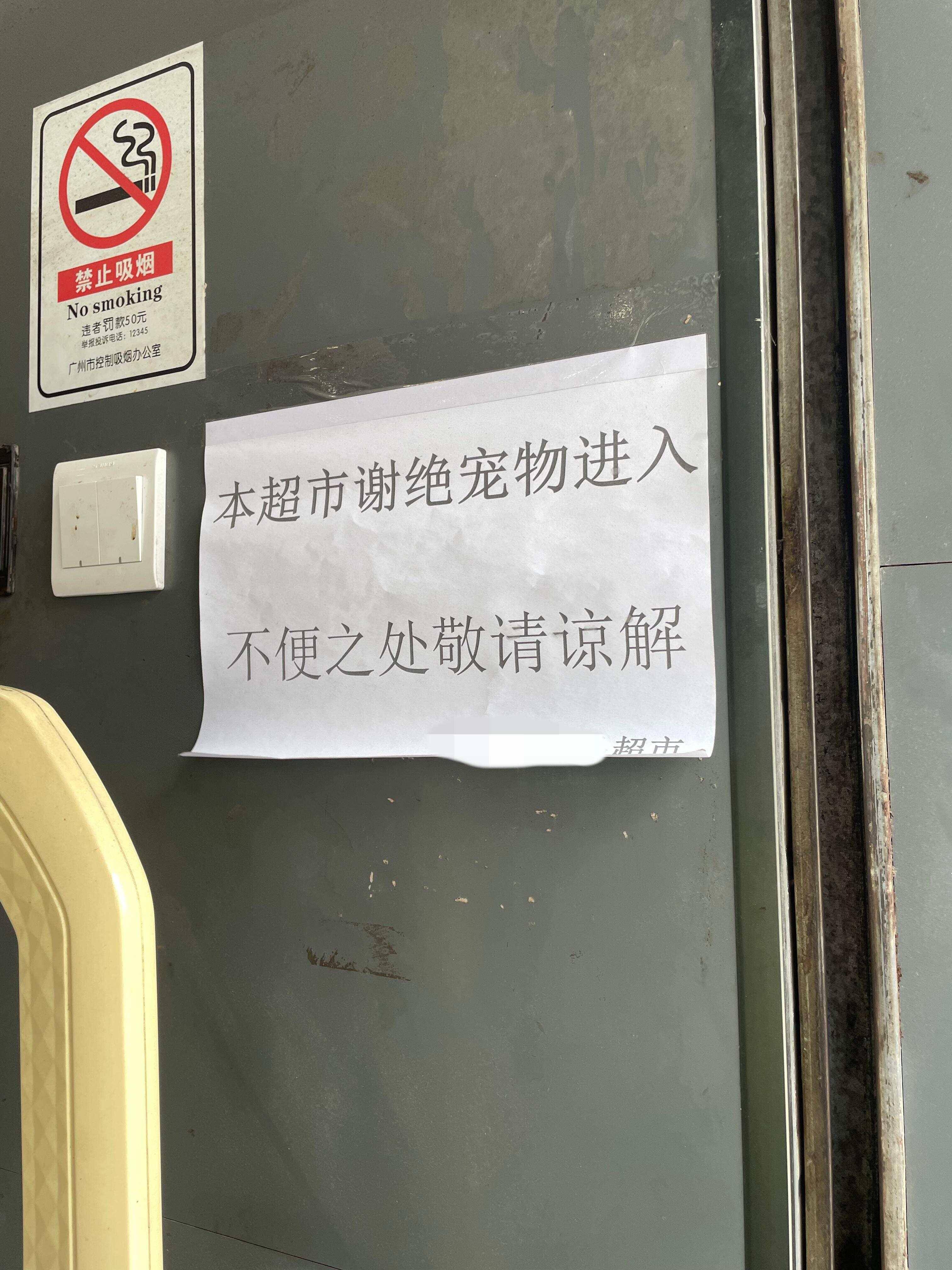 廣州一市民將寵物狗放超市乾貨架後續：超市負責人還原事件過程，不打算追責狗主｜魚眼·熱點
