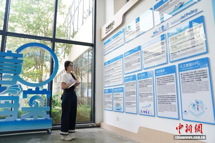 港澳大學生逐浪海南自貿港：遇見開放多元的新三亞