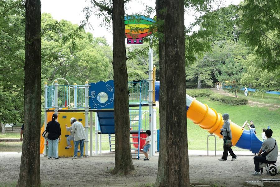 幼兒園在減少，大學還在擴張：中國教育進入結構調整期
