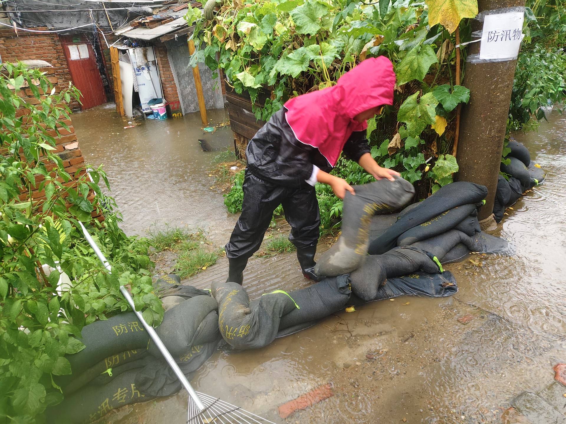短時強降雨致積水、大風致樹木倒折，順義各地快速處置