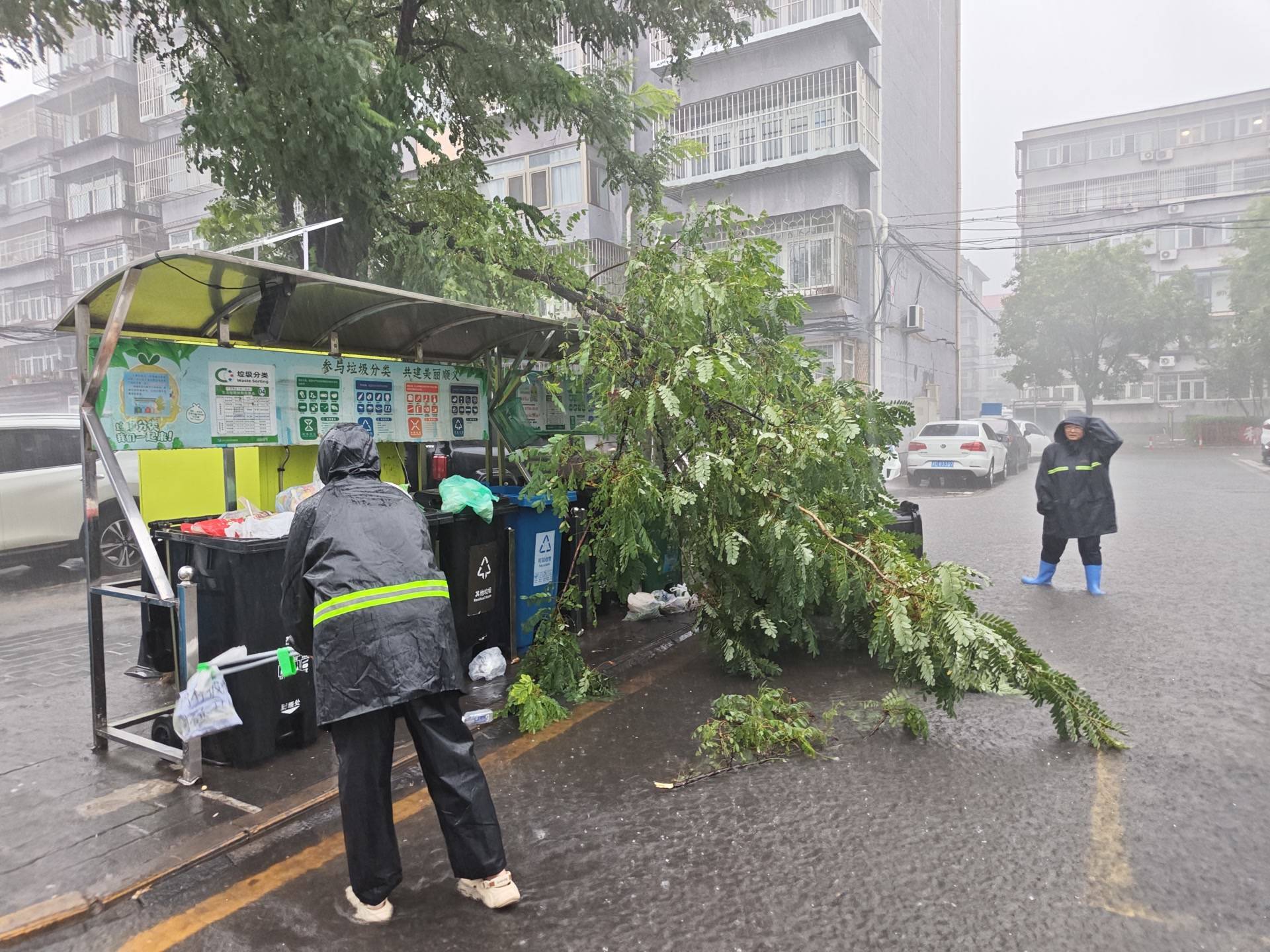 短時強降雨致積水、大風致樹木倒折，順義各地快速處置