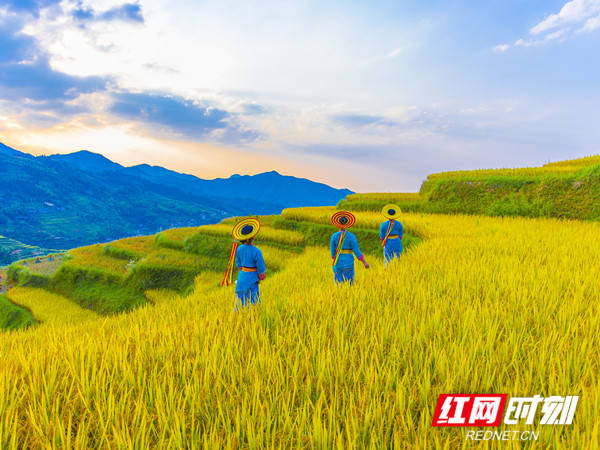國家4A級旅遊景區，邵陽+1！